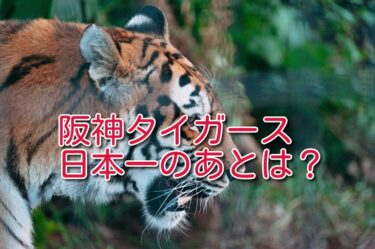阪神タイガース日本一のあとにすべき手続きは？