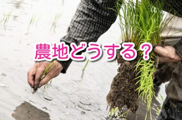 農地を相続したらどうする？